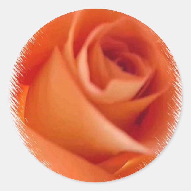 ROSE WEDD UMSCHLAG AUFKLEBER STICKER (Vorderseite)