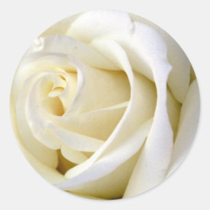 Rose White Runder Aufkleber