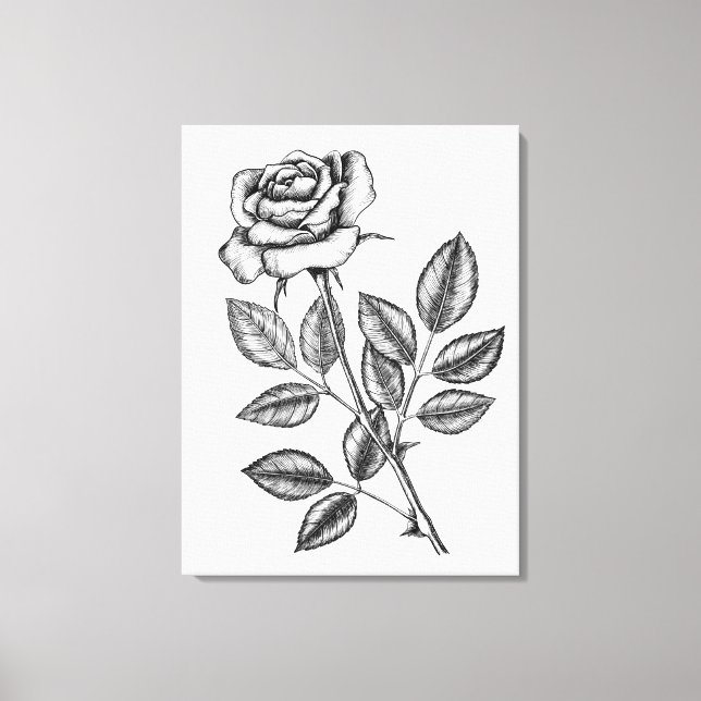ROSE ZEICHN 2 LEINWANDDRUCK (Vorderseite)