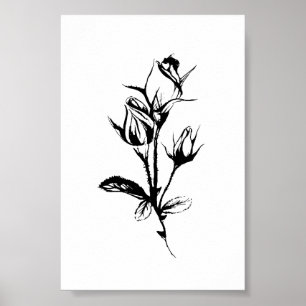 Rose Zeichn Art   Farbskizze für Rosenknospe Poster