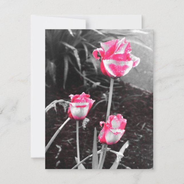 Rose zum Abreißen - Design 2 (Vorderseite)