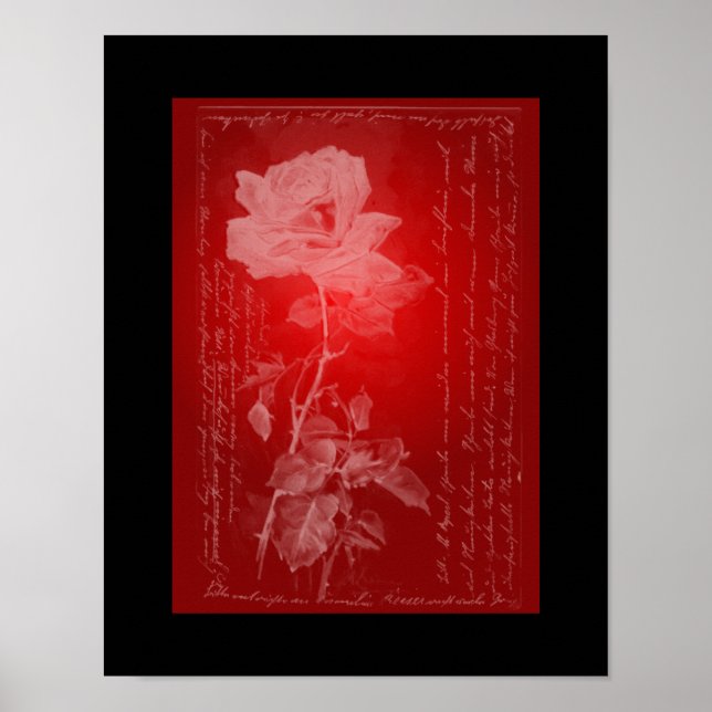 Rose zum roten Poster (Vorne)