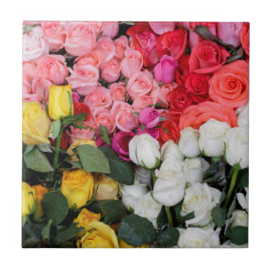 Rose zum verkauf, San Miguel de Allende, Mexiko Fliese