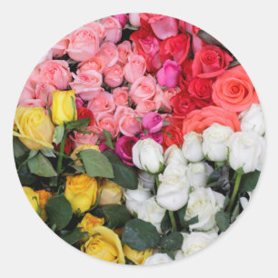 Rose zum verkauf, San Miguel de Allende, Mexiko Runder Aufkleber