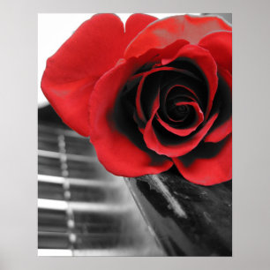 Rose zur Piano-Sammlung I Poster