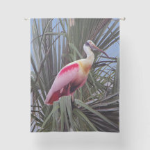 Roseate Spoonbill