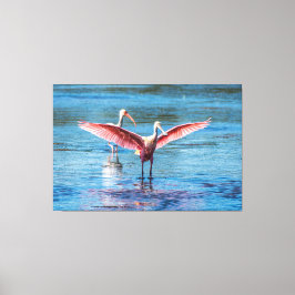 ROSEATE SPOONBILL 60 X 40 WRAPPED CANVAS PRINT LEINWANDDRUCK