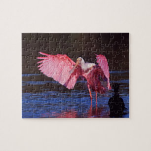 Roseate Spoonbill (Ajaia ajaja) mit Kormorant Puzzle