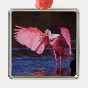 Roseate Spoonbill (Ajaia ajaja) mit Kormorant Silbernes Ornament