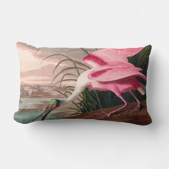 Roseate Spoonbill Audubon Bird Wildlife Lendenkissen (Vorderseite)