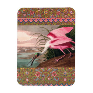 Roseate Spoonbill Audubon Bird Wildlife Magnet