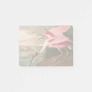 Roseate Spoonbill Audubon Bird Wildlife Post-it Klebezettel