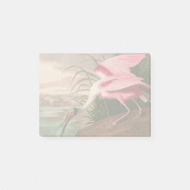 Roseate Spoonbill Audubon Bird Wildlife Post-it Klebezettel (Vorderseite)