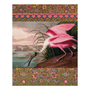 Roseate Spoonbill Audubon Bird Wildlife Poster