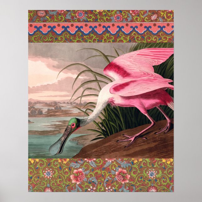 Roseate Spoonbill Audubon Bird Wildlife Poster (Vorne)