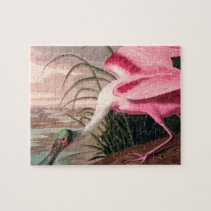Roseate Spoonbill Audubon Bird Wildlife Puzzle