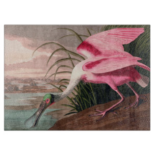 Roseate Spoonbill Audubon Bird Wildlife Schneidebrett