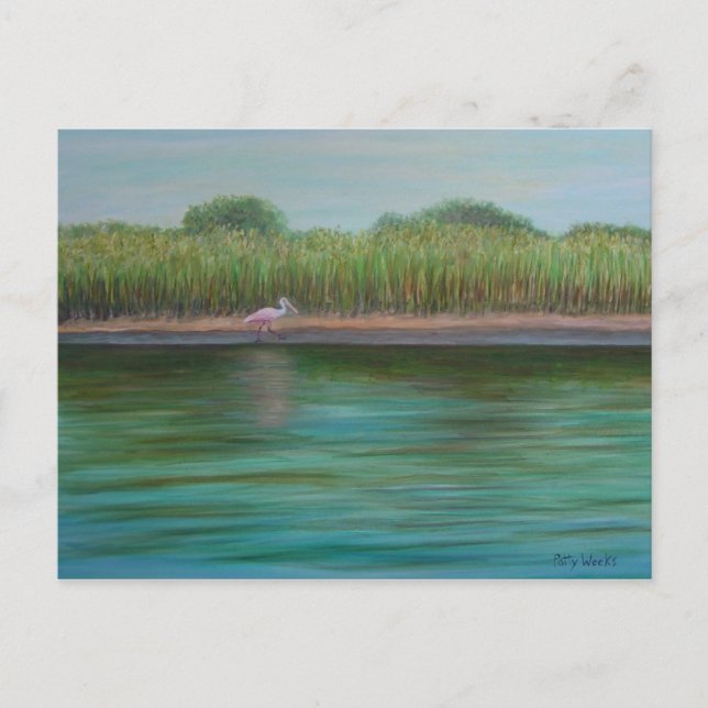 ROSEATE SPOONBILL AUF OSTKREISE Postkarte (Vorderseite)