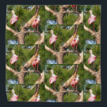 Roseate Spoonbill - Bandana - Tld Halstuch<br><div class="desc">Roseate Spoonbill - Bandana - Tld</div>