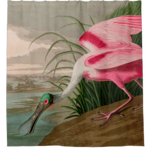 Roseate Spoonbill Birds of America Audubon Print Duschvorhang