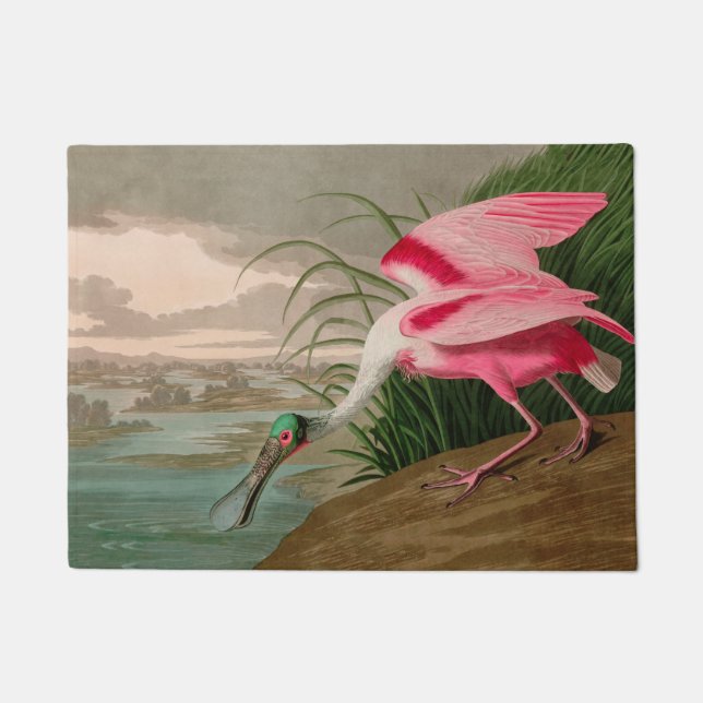 Roseate Spoonbill Birds of America Audubon Print Fußmatte (Vorderseite)