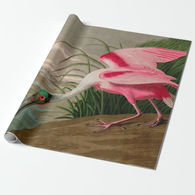 Roseate Spoonbill Birds of America Audubon Print Geschenkpapier (Ungerollt)