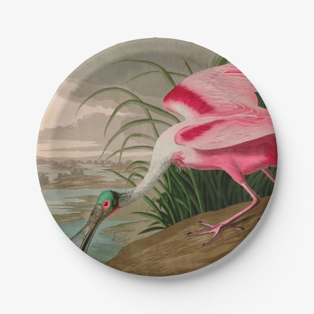 Roseate Spoonbill Birds of America Audubon Print Pappteller (Vorderseite)