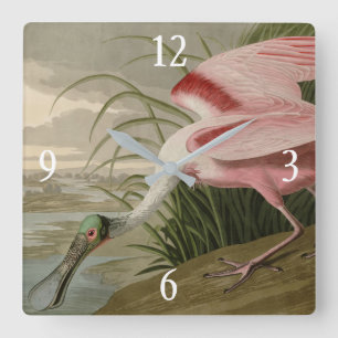 Roseate Spoonbill from Audubon's Birds of America Quadratische Wanduhr