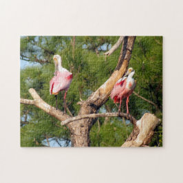 Roseate Spoonbill Jigsaw Puzzle