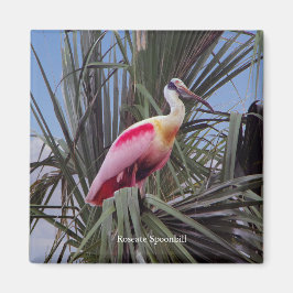 Roseate Spoonbill-Magnet Magnet