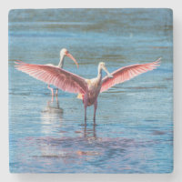 Roseate Spoonbill Marble Stone Untersetzer