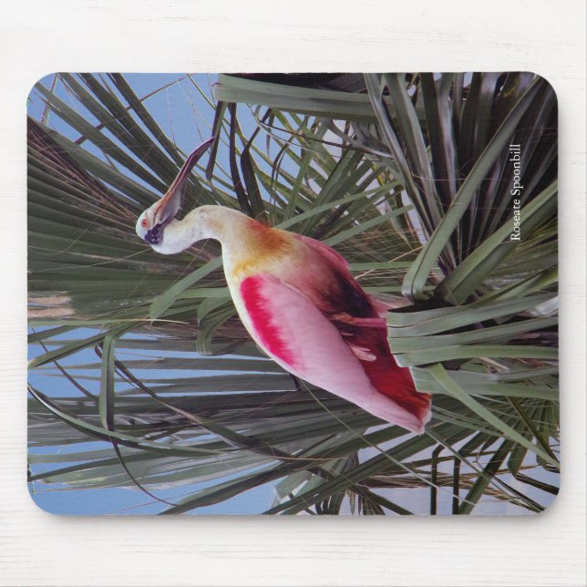 Roseate Spoonbill mousepad (Vorne)
