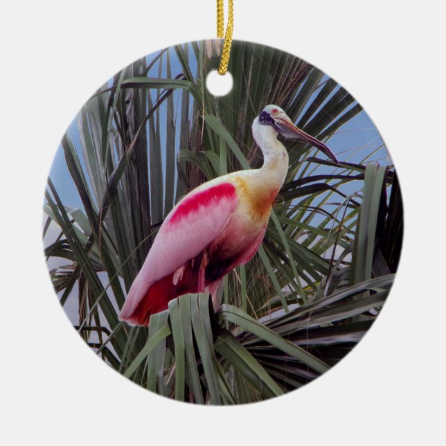 Roseate Spoonbill-Ornament Keramik Ornament (Vorne)