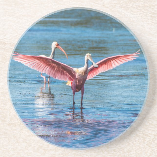Roseate Spoonbill Sandstone Drink Untersetzer (Vorne)