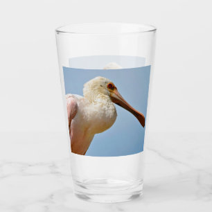 Roseate Spoonbill schließen Glas