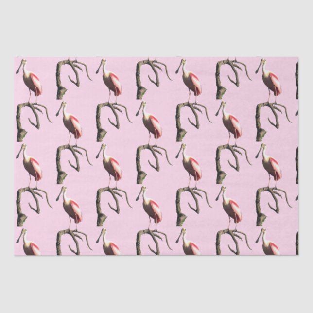 Roseate Spoonbill Tissue Paper Seidenpapier (Vorderseite)