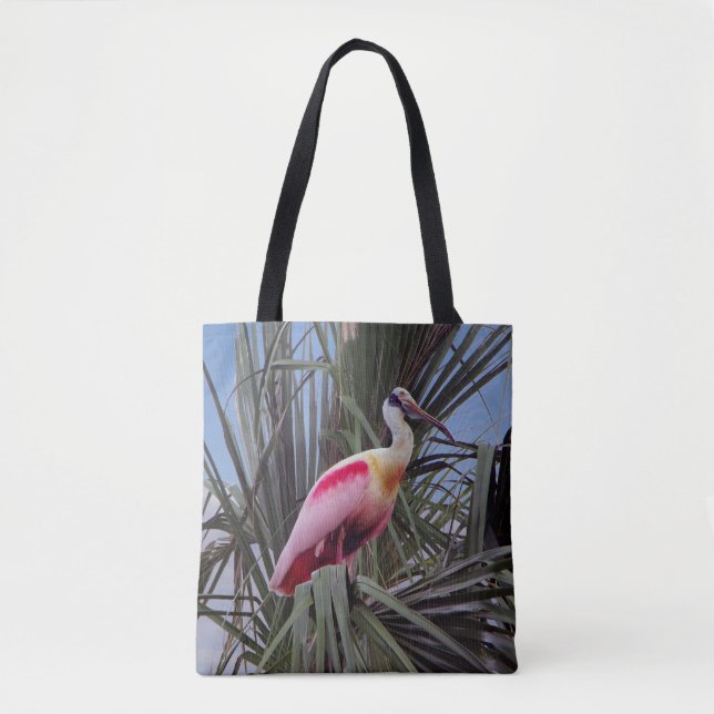 Roseate Spoonbill überall (Vorderseite)