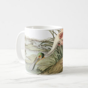 Roseate Spoonbill von Audubon Kaffeetasse
