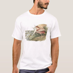 Roseate Spoonbill von Audubon T-Shirt
