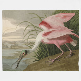 Roseate Spoonbill von Audubons Vögeln Amerikas Fleecedecke