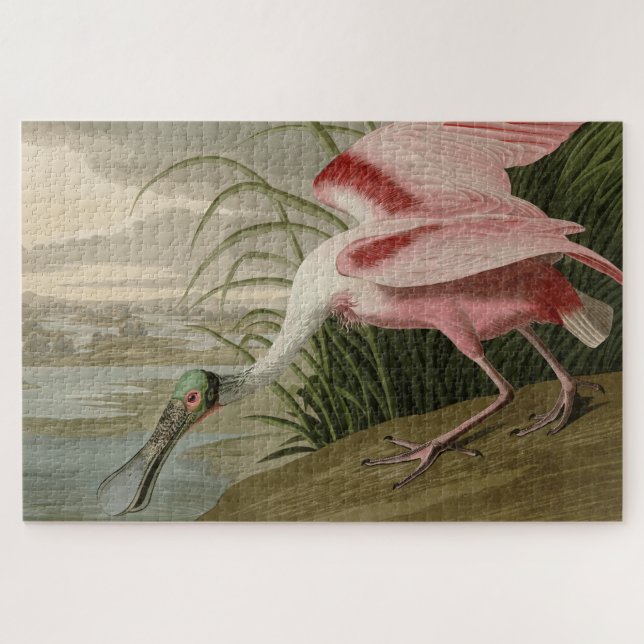 Roseate Spoonbill von Audubons Vögeln Amerikas Puzzle (Horizontal)