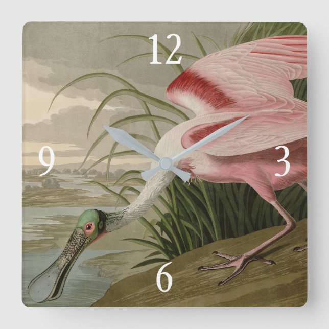 Roseate Spoonbill von Audubons Vögeln Amerikas Quadratische Wanduhr (Vorderseite)