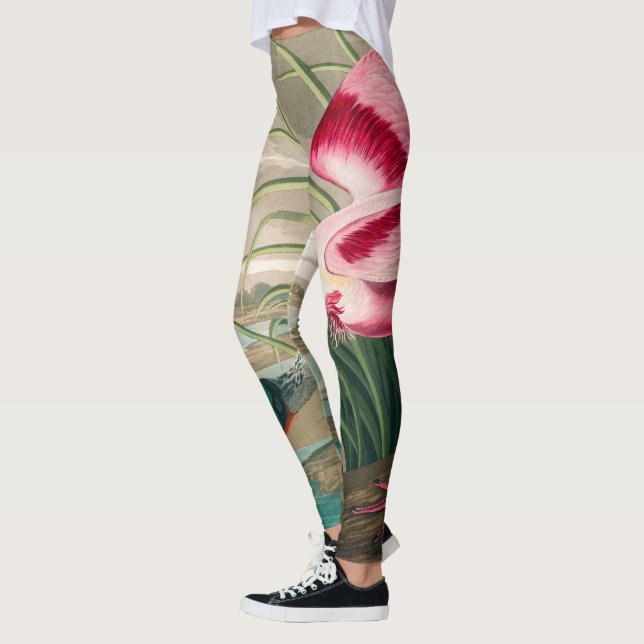 Roseate Spoonbill von John James Audubon Leggings (Links)