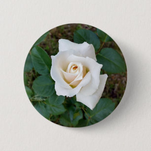Rosebude Button