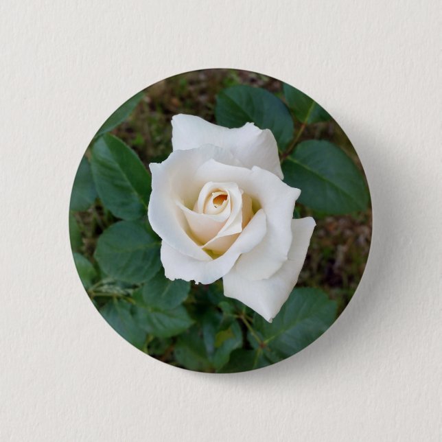Rosebude Button (Vorderseite)