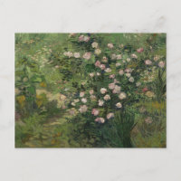 Rosebush in Blossom, Van Gogh Fine Art