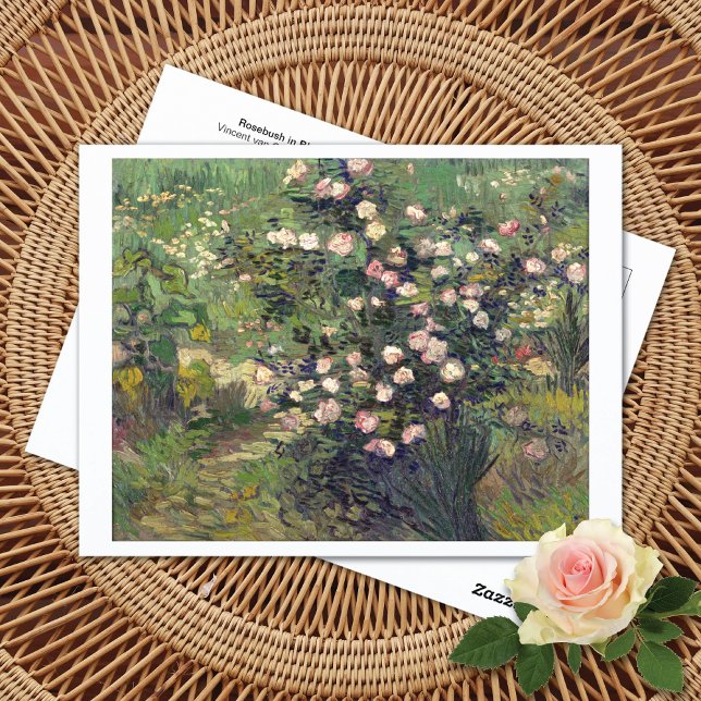 Rosebush in Blossom Vincent van Gogh Postcard Postkarte (Von Creator hochgeladen)