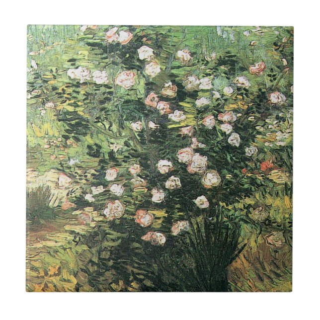 Rosebush in Blossom von Vincent van Gogh Fliese (Vorderseite)