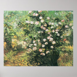 Rosebush in Blossom von Vincent van Gogh Poster
