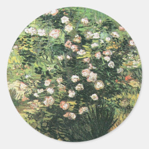 Rosebush in Blossom von Vincent van Gogh Runder Aufkleber